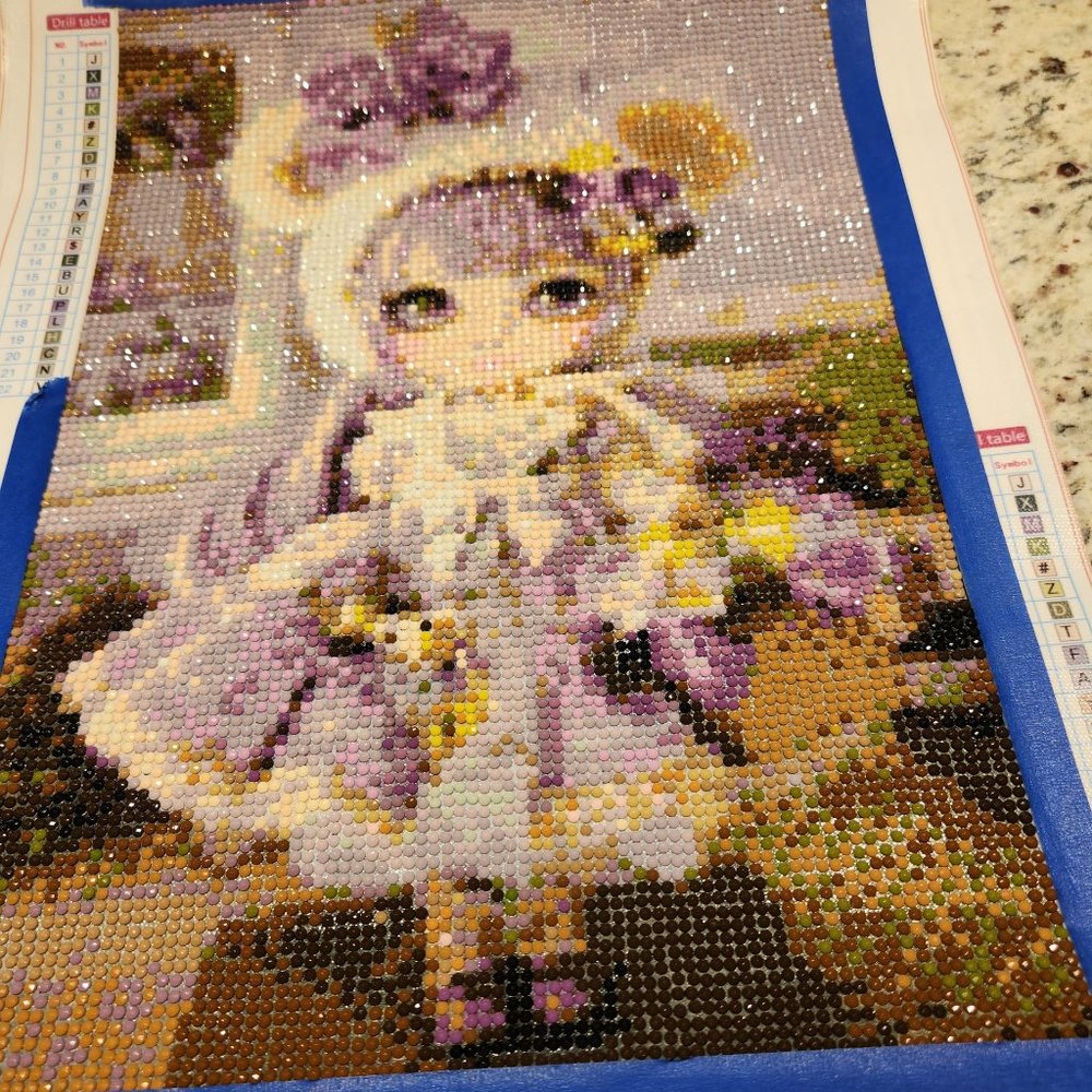 Bundle of 12 Diamond paintings